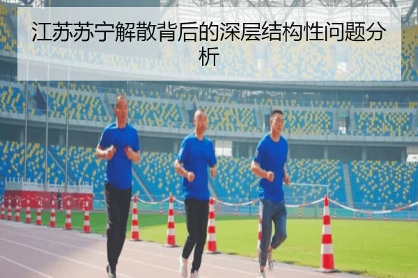 江苏苏宁解散背后的深层结构性问题分析